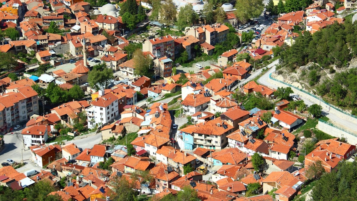 a group of houses with trees around them